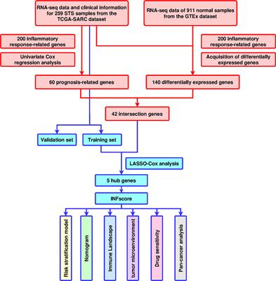 A novel inflammatory signature for evaluating immune microenvironment status in soft tissue sarcoma